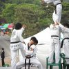kyunghee_demo 59